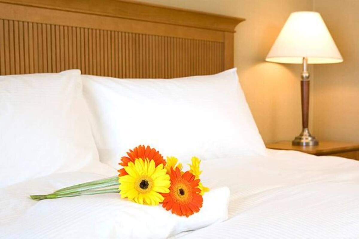 A hotel room with a bed, pillows, a lamp, and a bouquet of flowers.