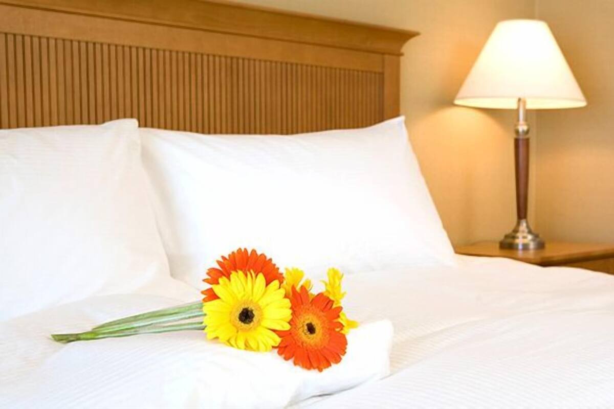 A neatly made bed with white linens, a wooden headboard, and a bedside lamp.