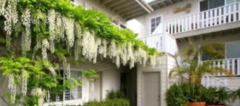 The Tides Laguna Beach