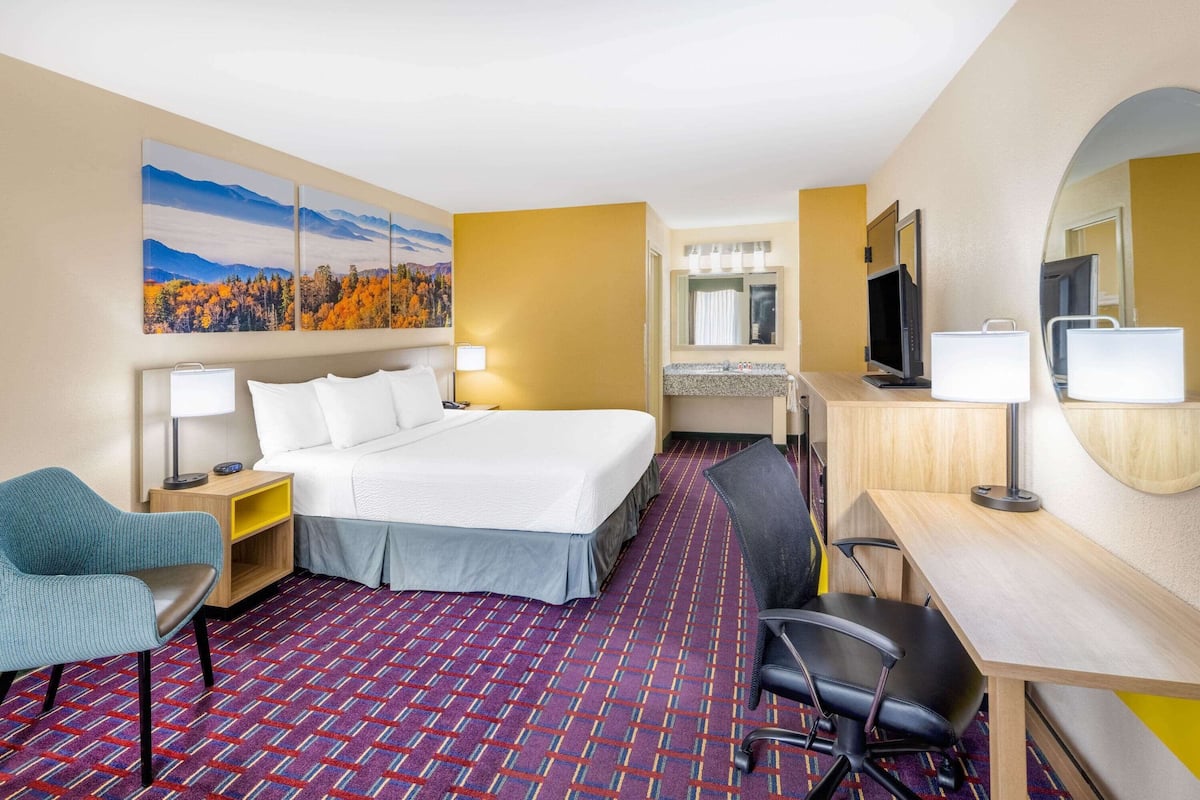 Habitación de hotel con cama, escritorio, silla, televisión y un cuadro de un paisaje montañoso.