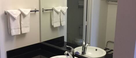A bathroom with a white sink, black countertop, and a mirror.