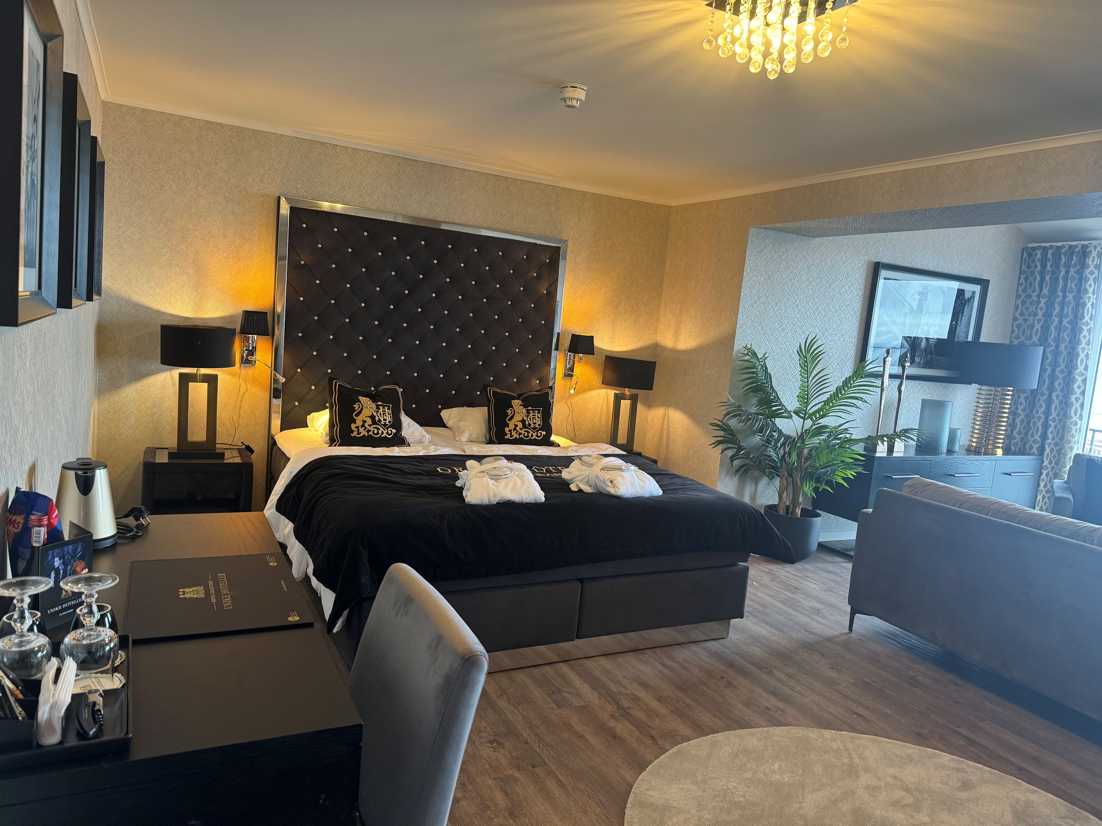 Habitación de hotel con cama, mesitas de noche, escritorio, silla, planta en maceta y televisor.