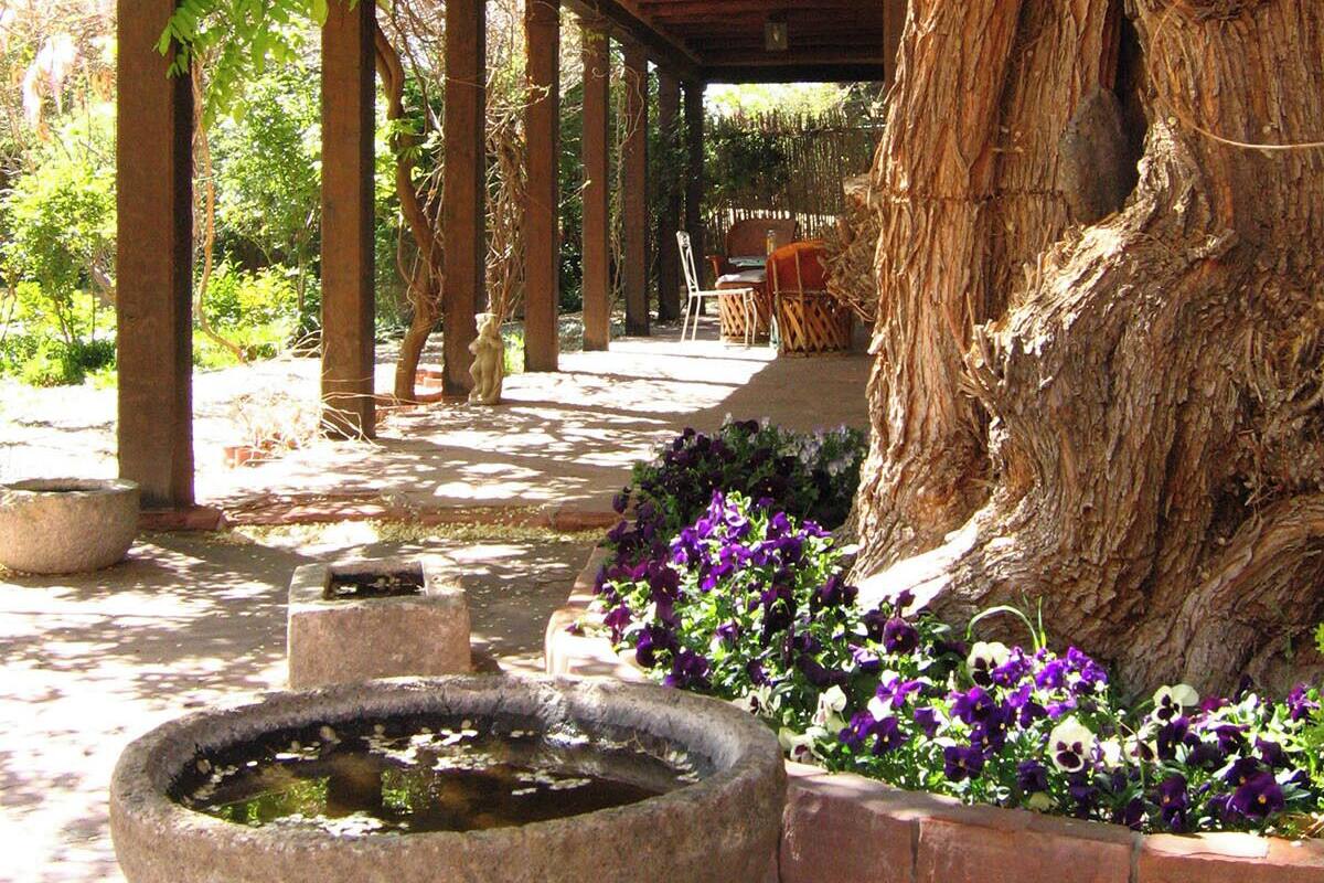 A covered outdoor area with a stone fountain, wooden columns, and a large tree trunk.