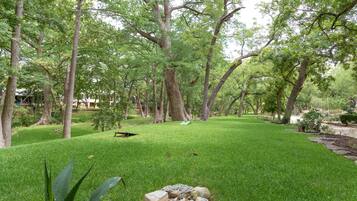 A well-maintained grassy area with trees, a stone wall, and a bench.
