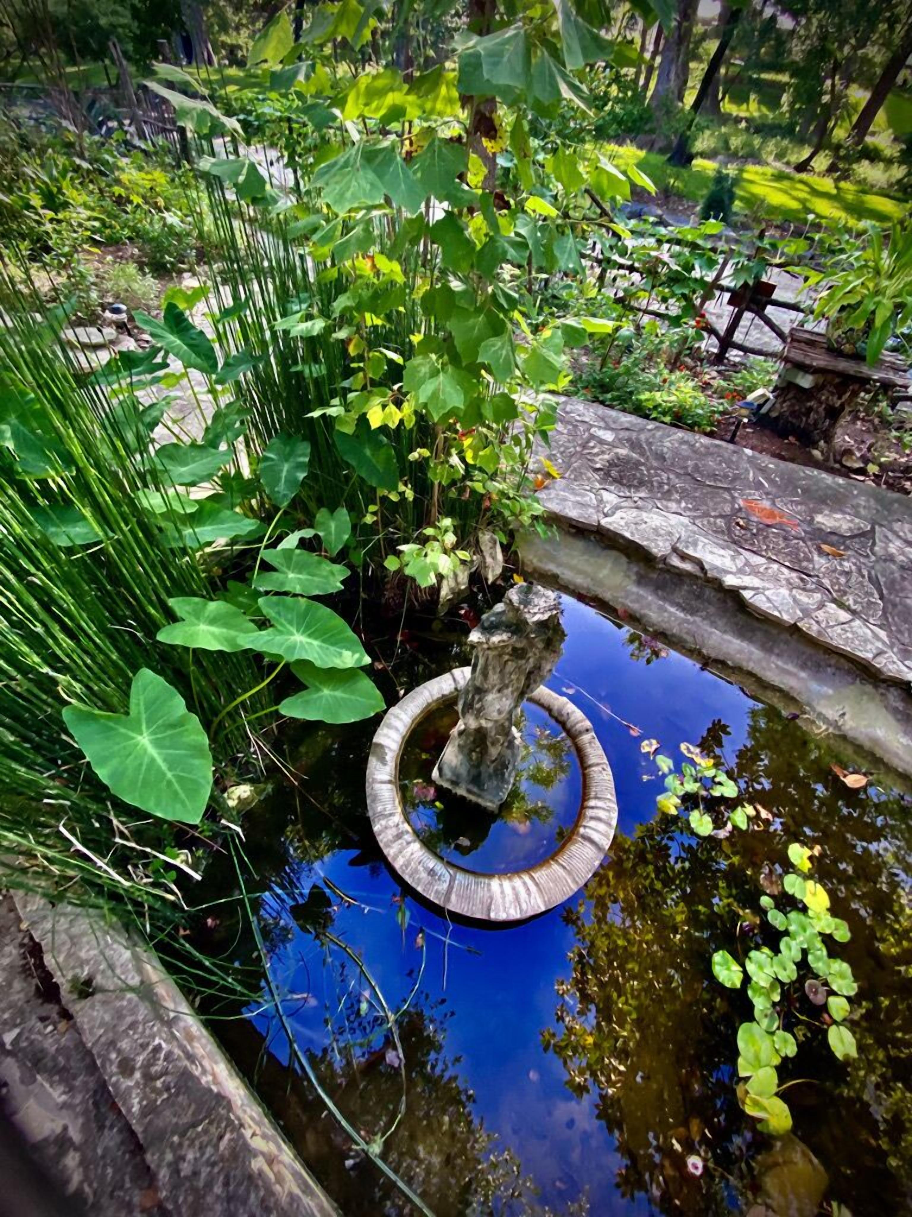 A pond with a stone fountain surrounded by lush greenery.