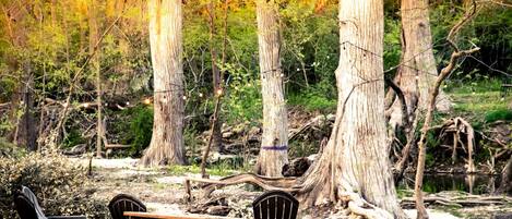Un entorno rústico al aire libre con una mesa y sillas de madera para picnic, rodeado de árboles altos y luces colgantes.