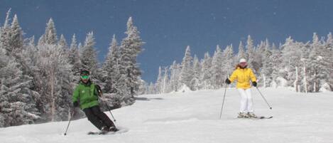 Two skiers on a snowy slope with snow-covered trees in the background.