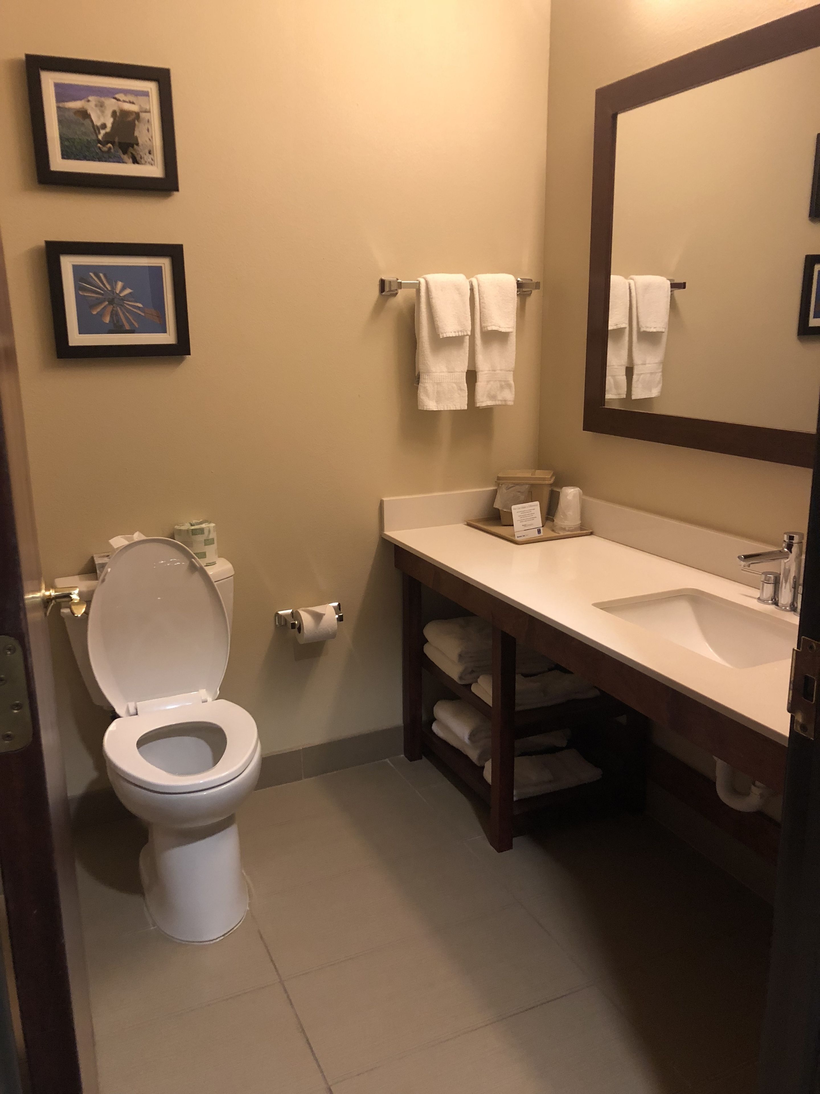 combined shower/bathtub, hair dryer, towels