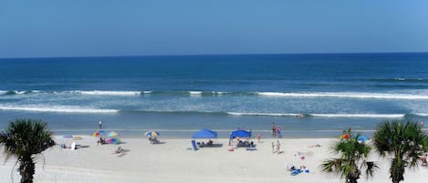 Ein Strand mit Sonnenschirmen und Palmen.