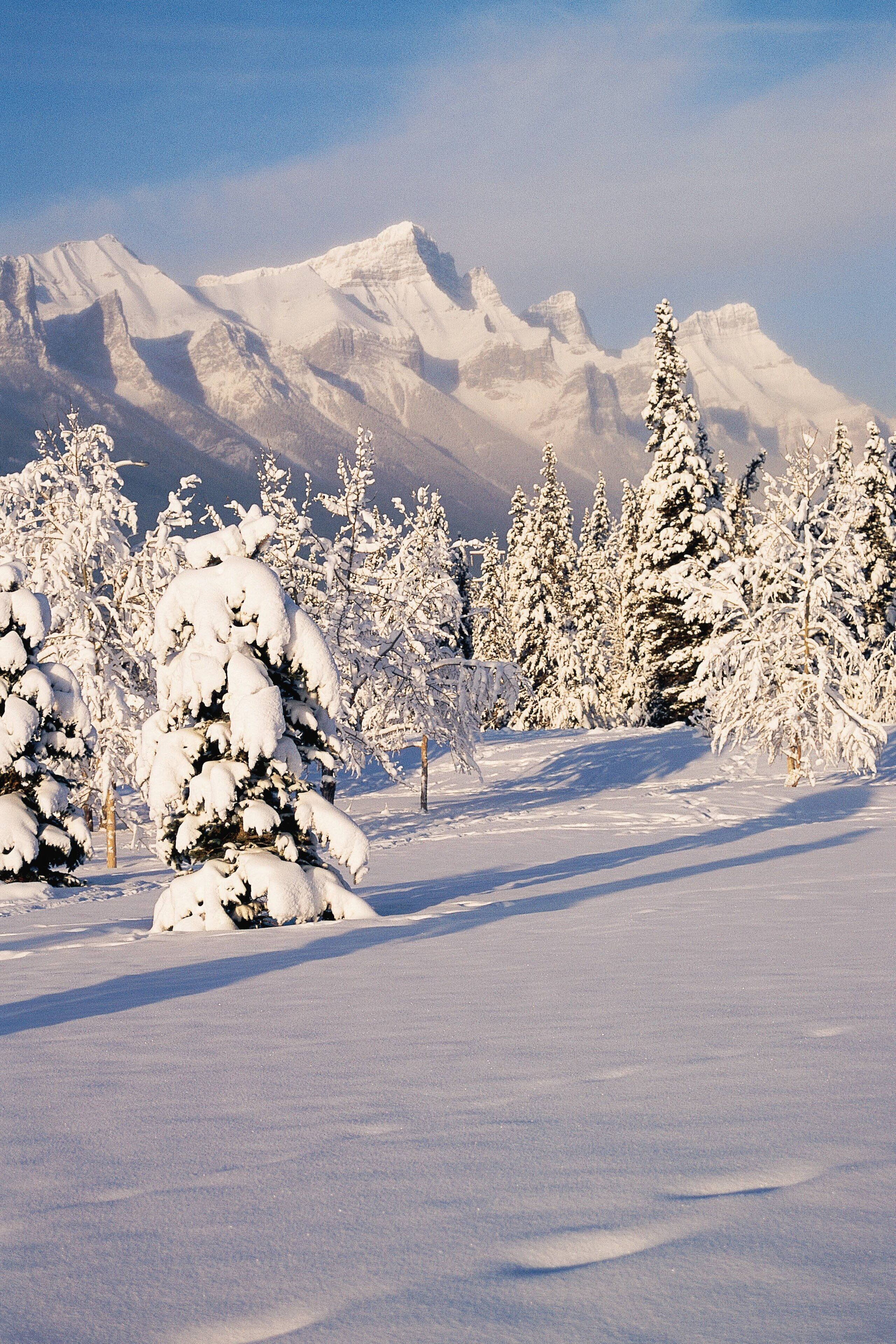 A snowy landscape with snow-covered trees and mountains in the background.