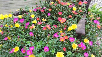 Jardín