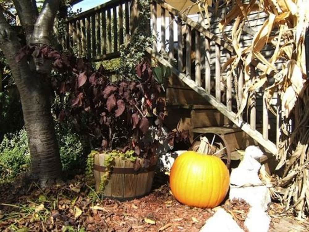 The Boyden House by null