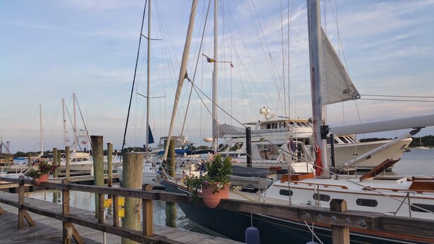 A marina with multiple sailboats docked, wooden pilings, and potted plants. - Pecan Tree Inn (Beaufort)