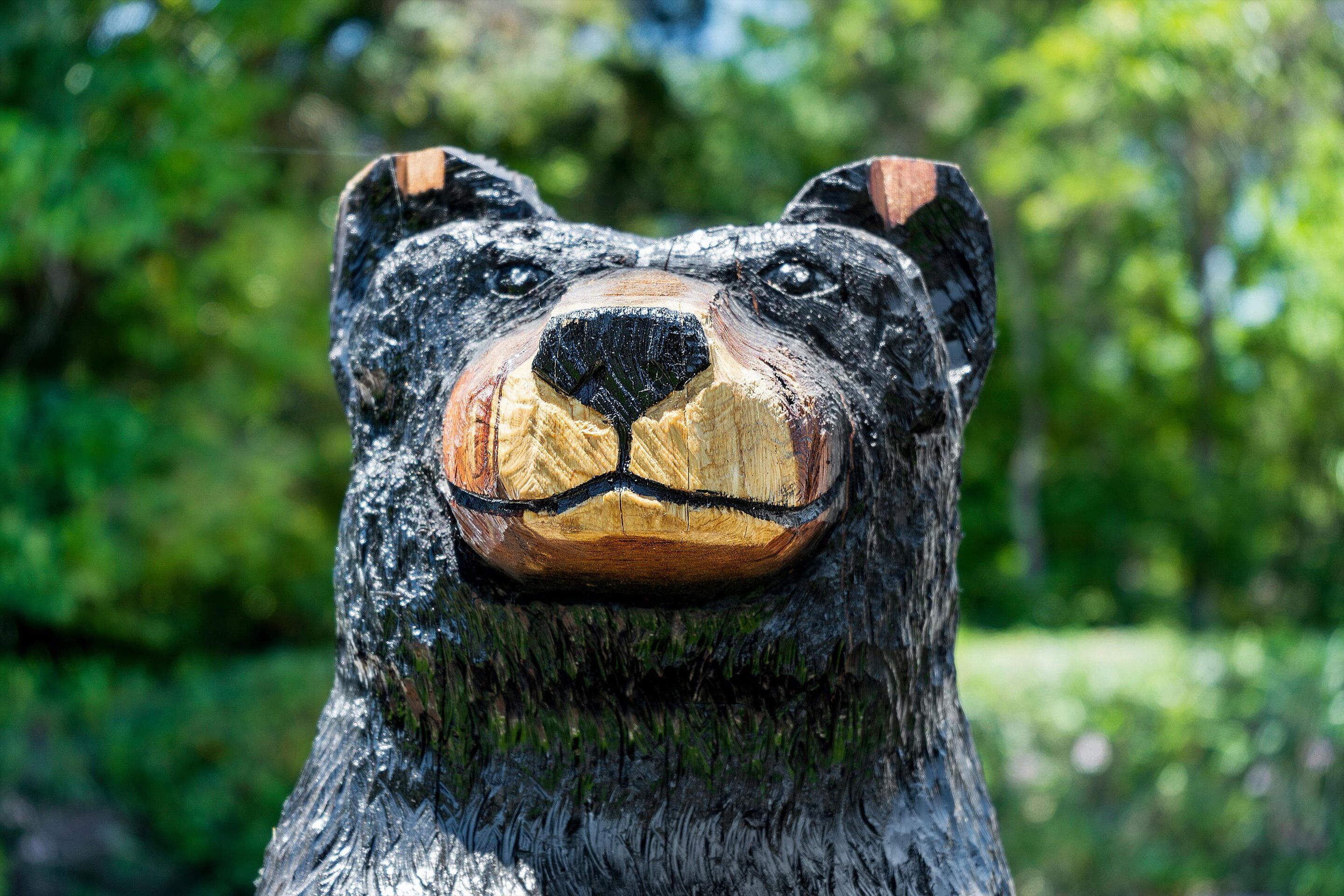 Una escultura de madera de cabeza de oso con un hocico y unos ojos detallados.
