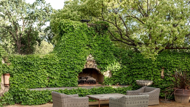An outdoor seating area with wicker furniture, a stone fireplace, and a wall covered in ivy. - Seven Branches Venue and Inn (Sonoma)