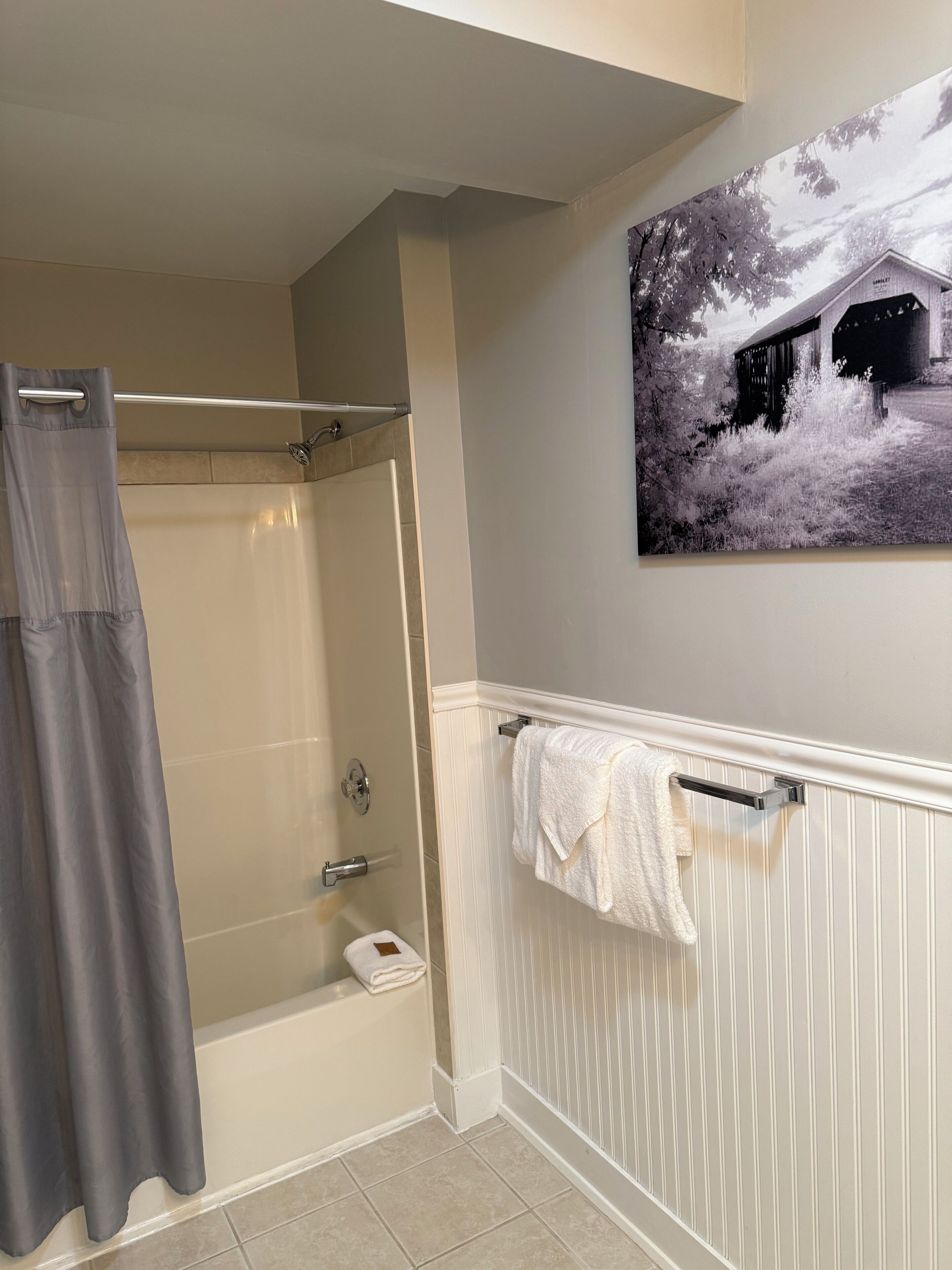 A bathroom with a shower, a towel rack, and a wall-mounted picture.