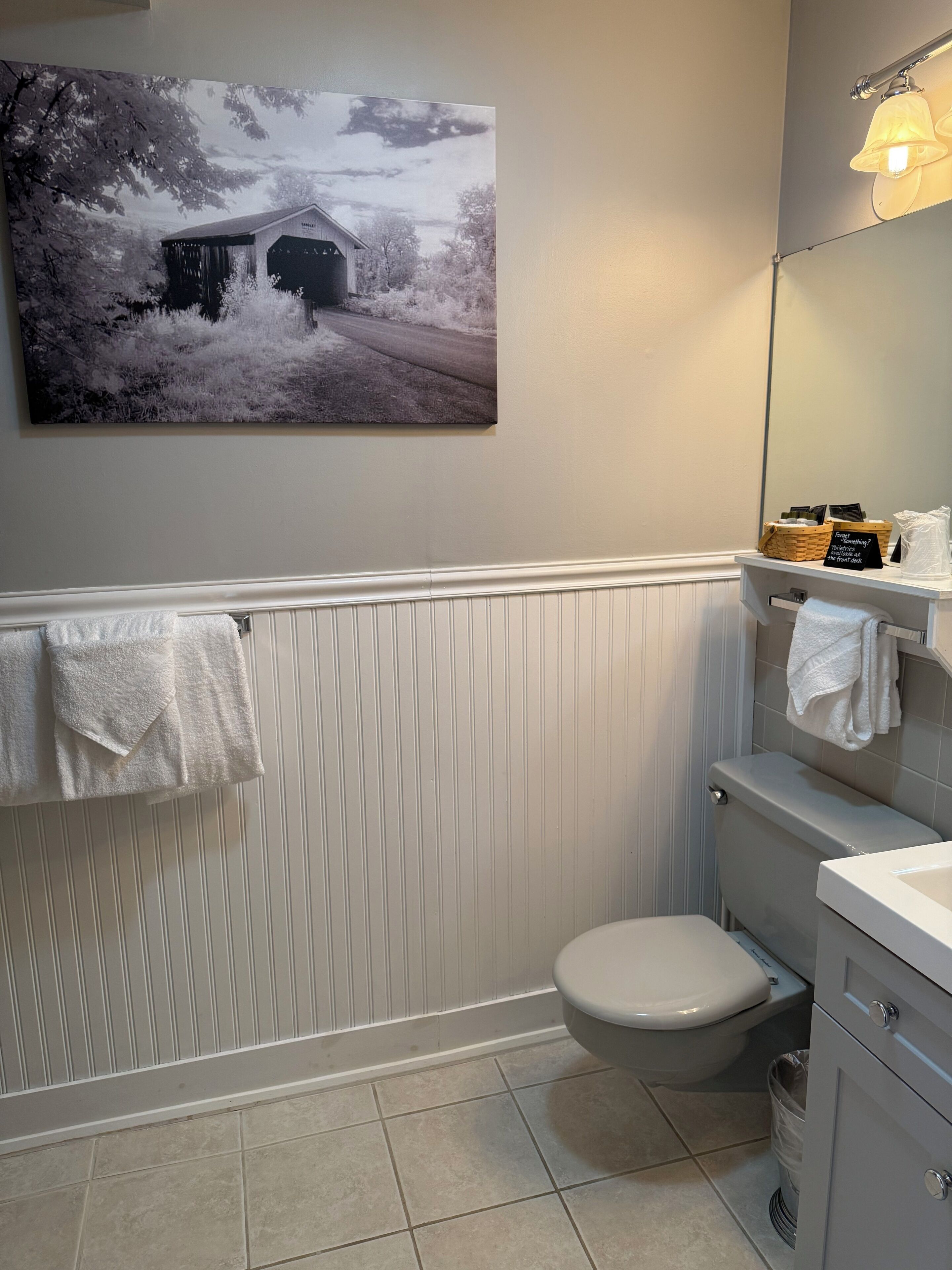 A bathroom with a toilet, a sink, a mirror, a towel rack, and a painting of a snowy landscape.