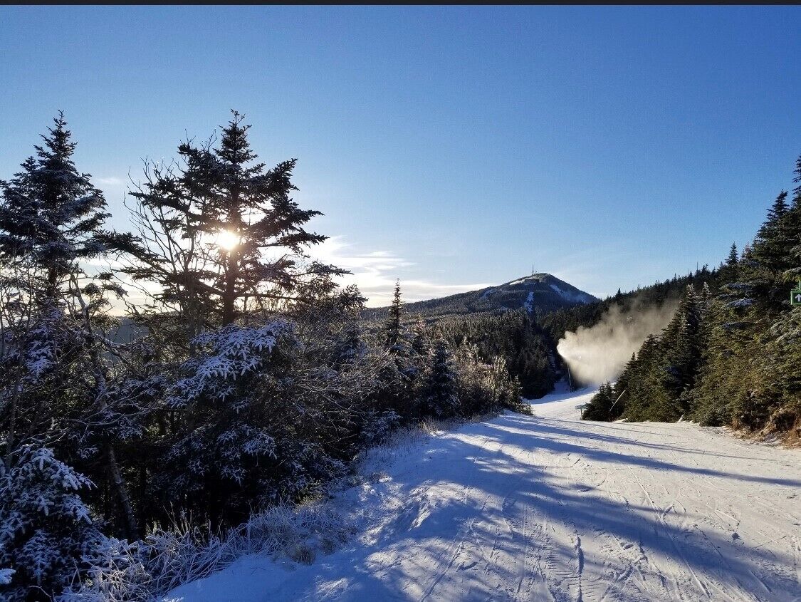 Un paysage enneigé avec une montagne en arrière-plan et un ciel dégagé.