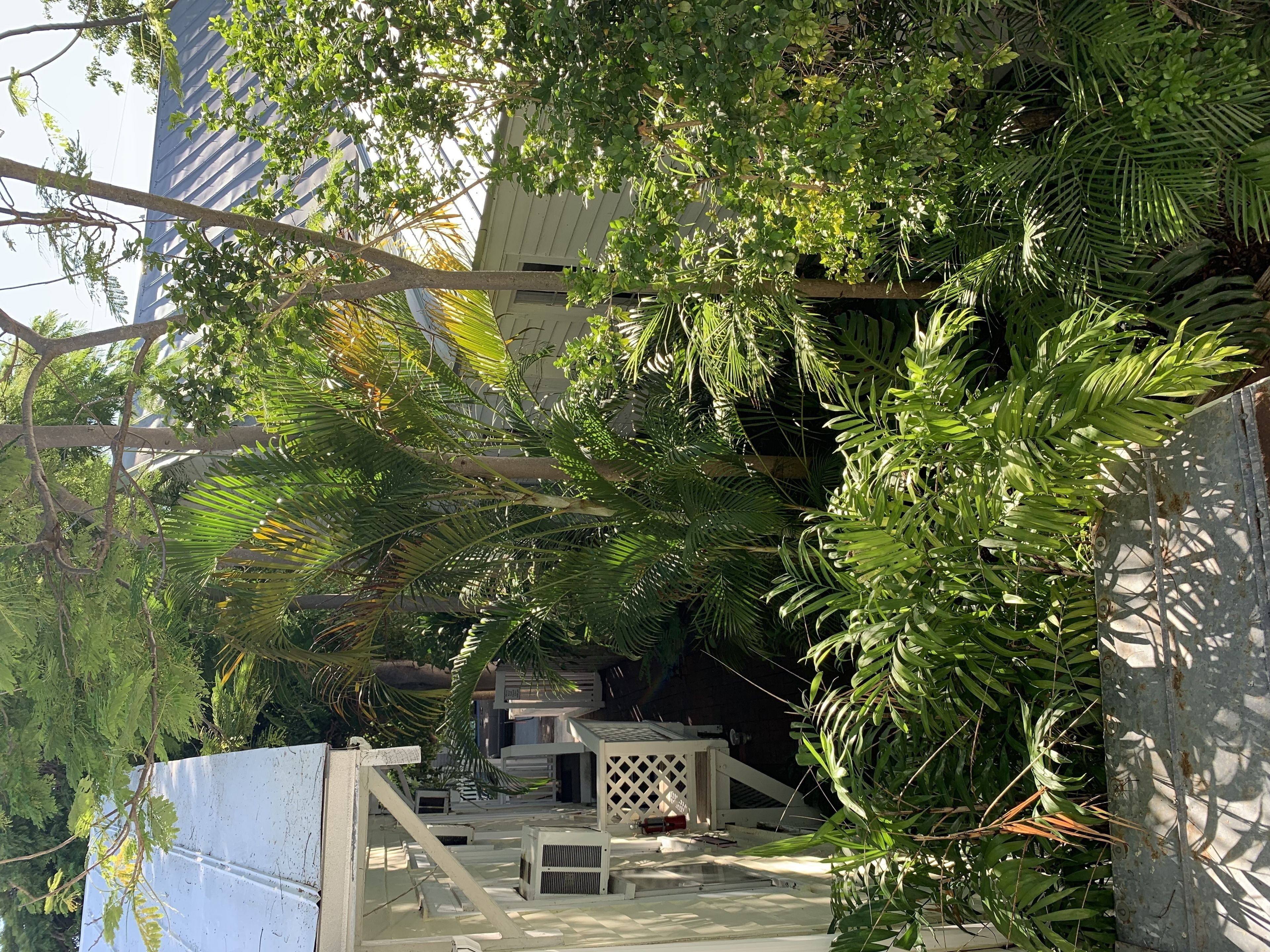 Foto - The Garden House