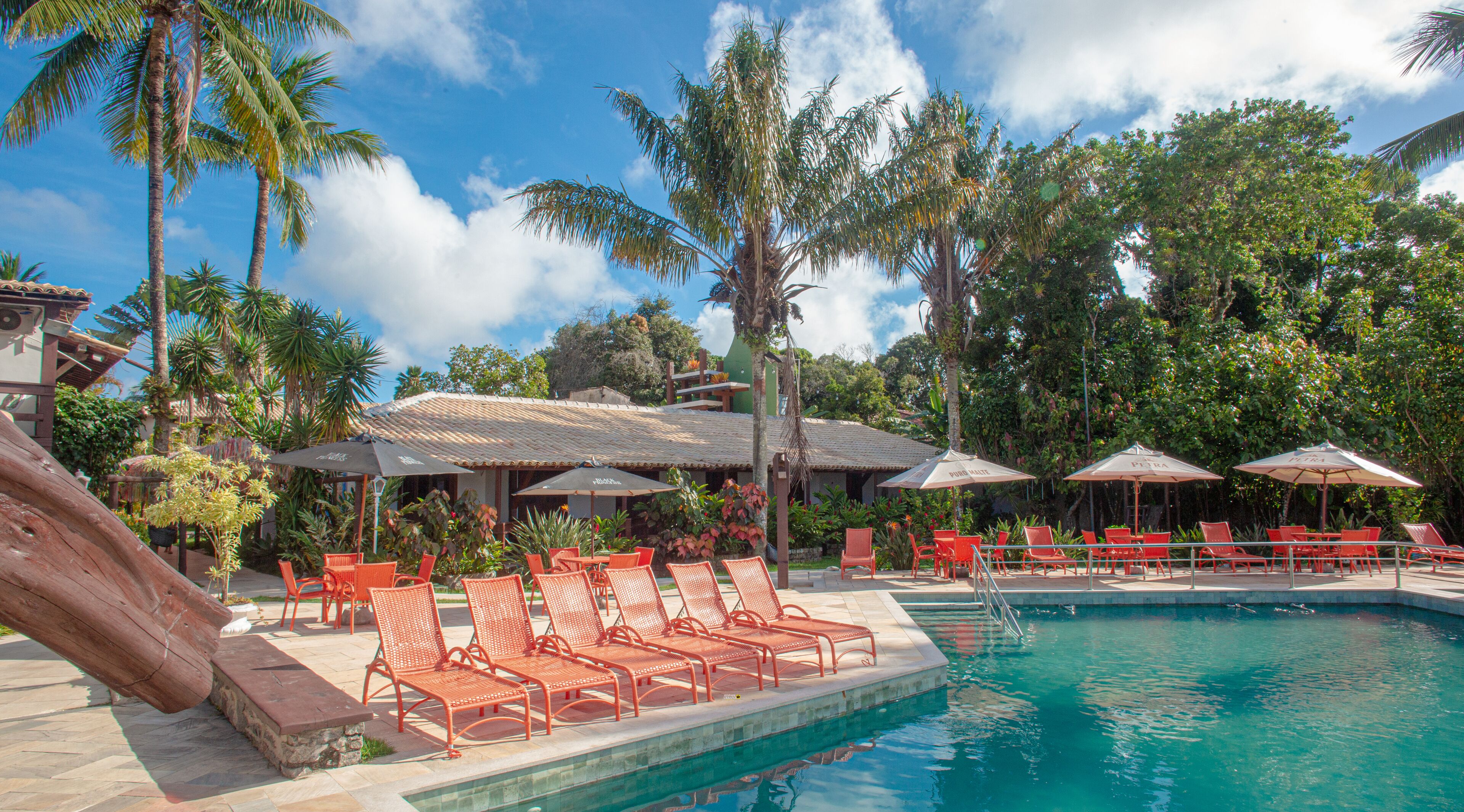 A poolside area with lounge chairs and umbrellas, surrounded by palm trees and a clear sky.