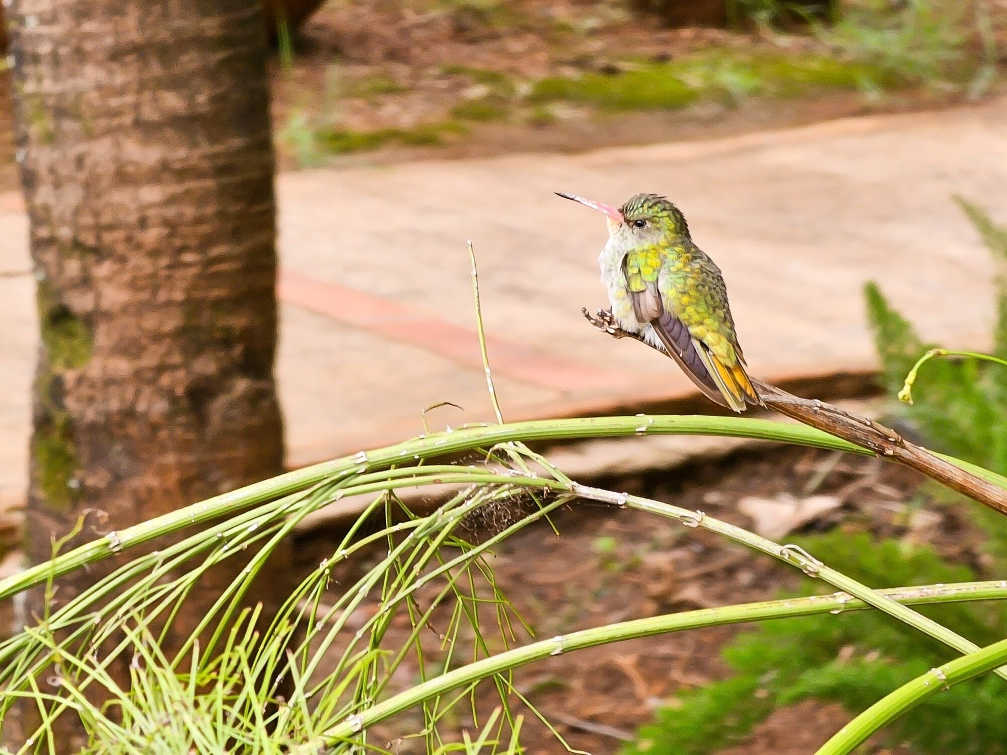 A bird perched on a branch.