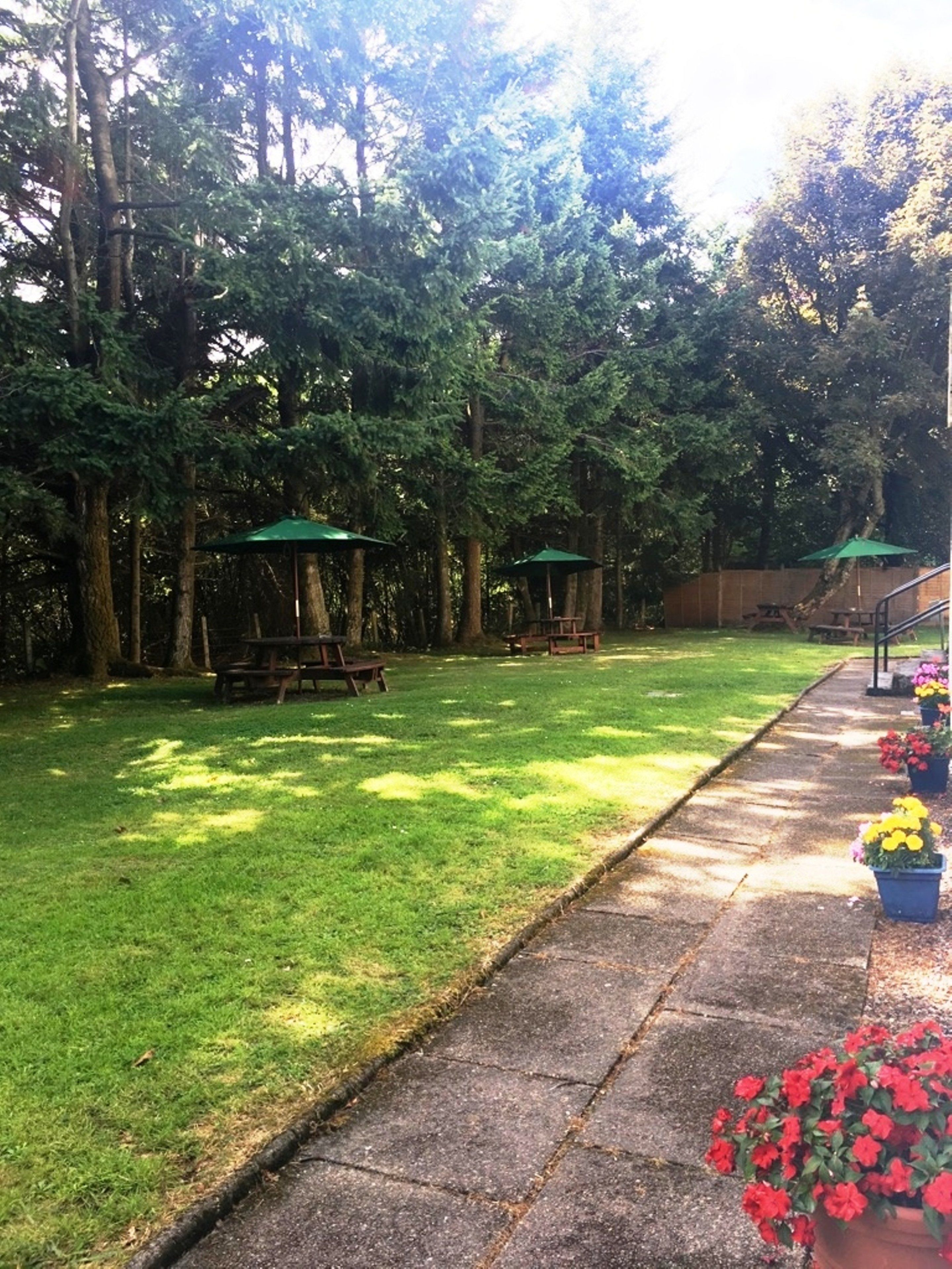 A well-maintained grassy area with picnic tables and umbrellas, surrounded by tall trees.
