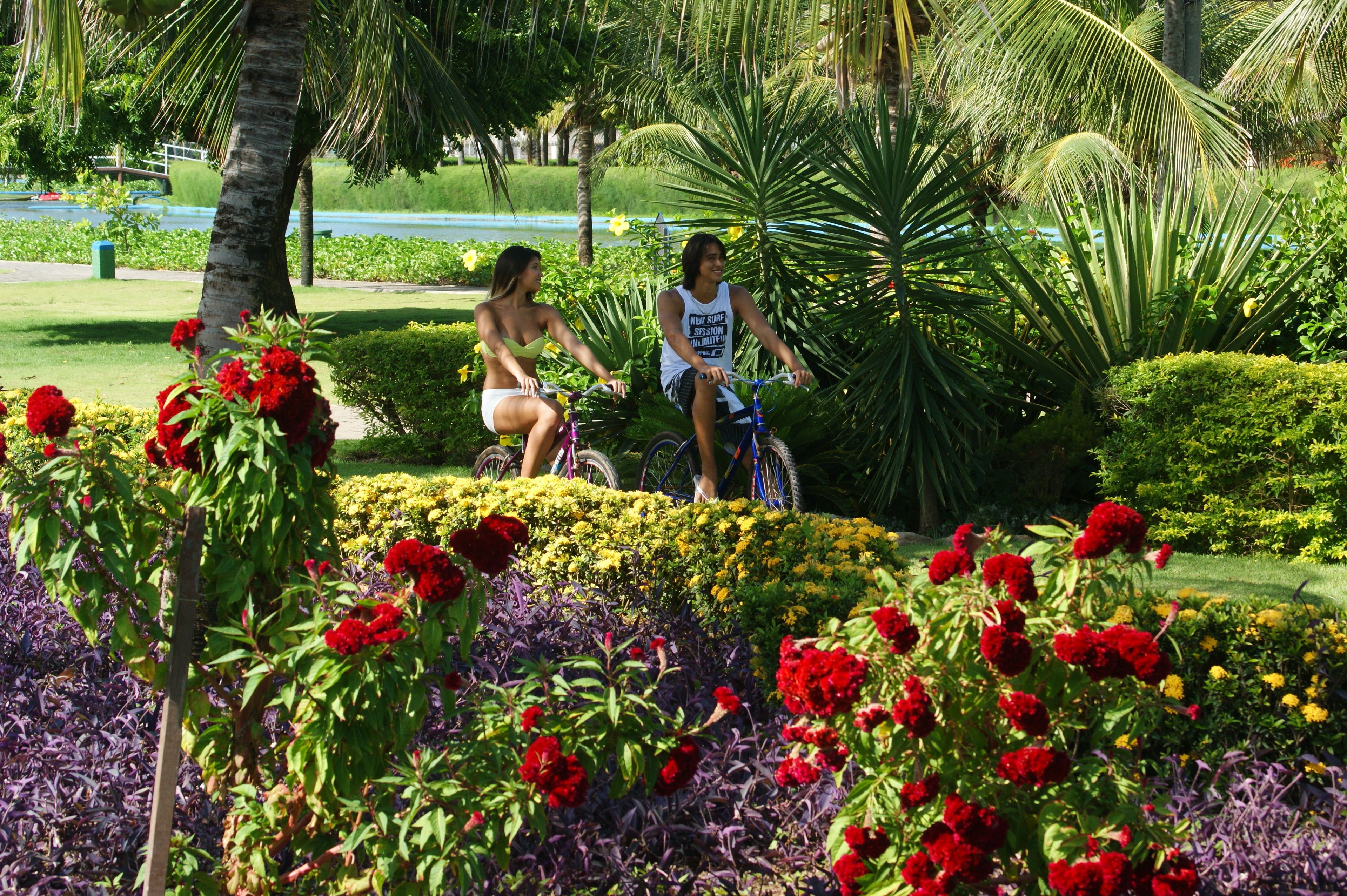 Dos personas montando en bicicleta en un exuberante jardín con diversas flores y palmeras.