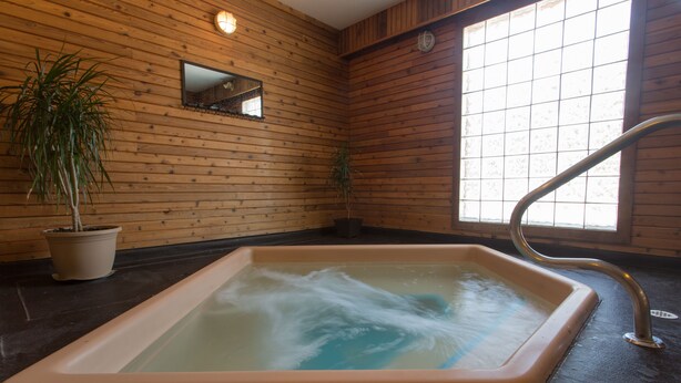 A spa room with a rectangular hot tub, wooden walls, a window, and a potted plant. - Powder Mountain Lodge (Fernie)