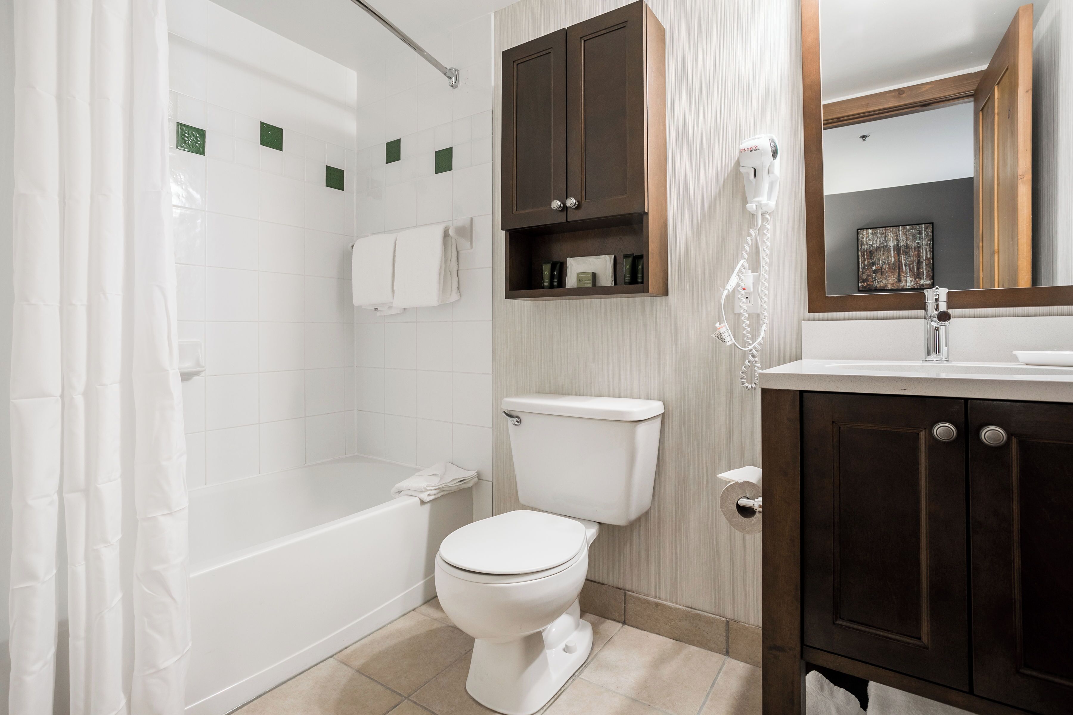 combined shower/bathtub, free toiletries, hair dryer, towels