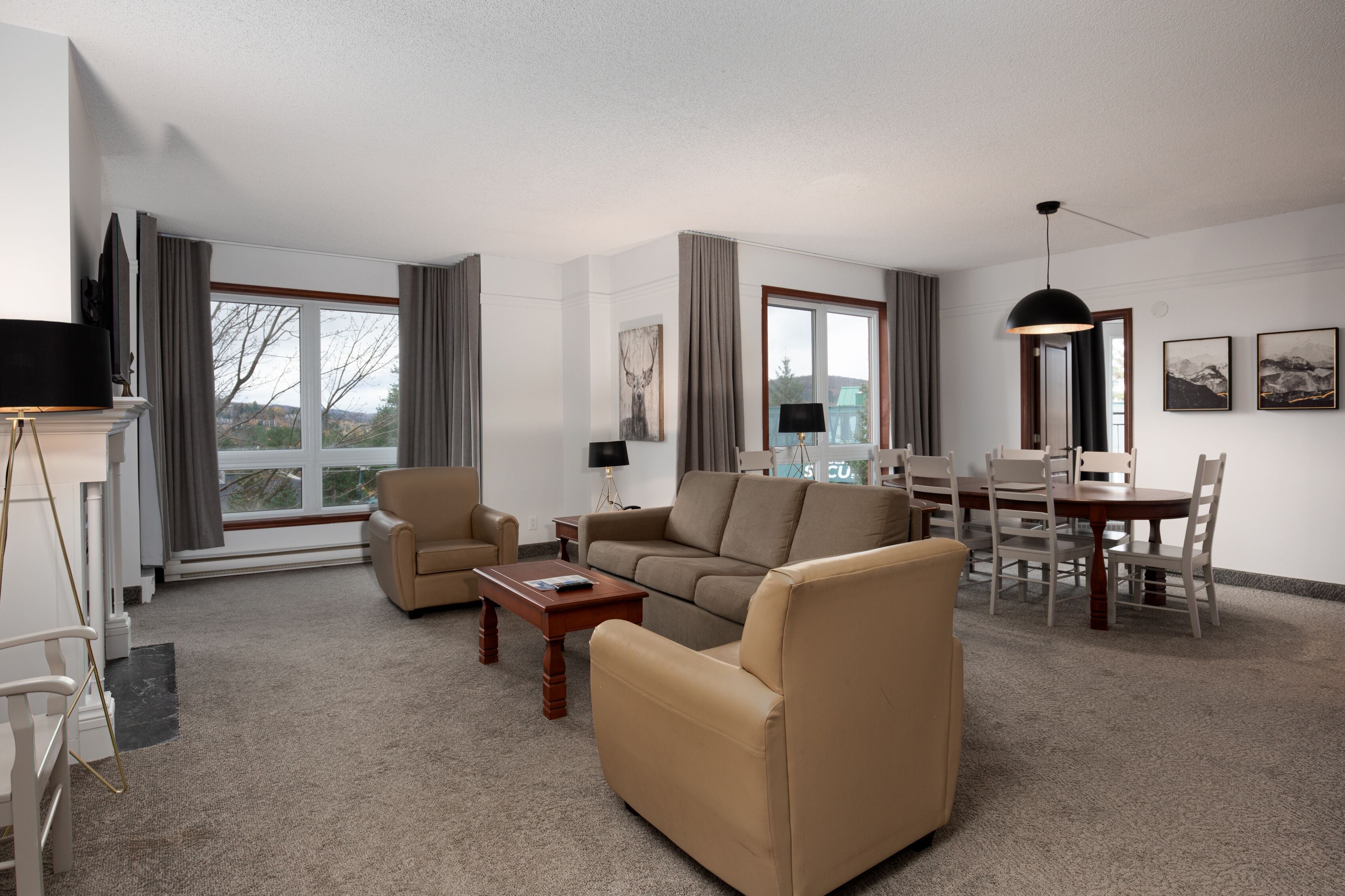 Télévision à écran plat, cheminée, films à la carte