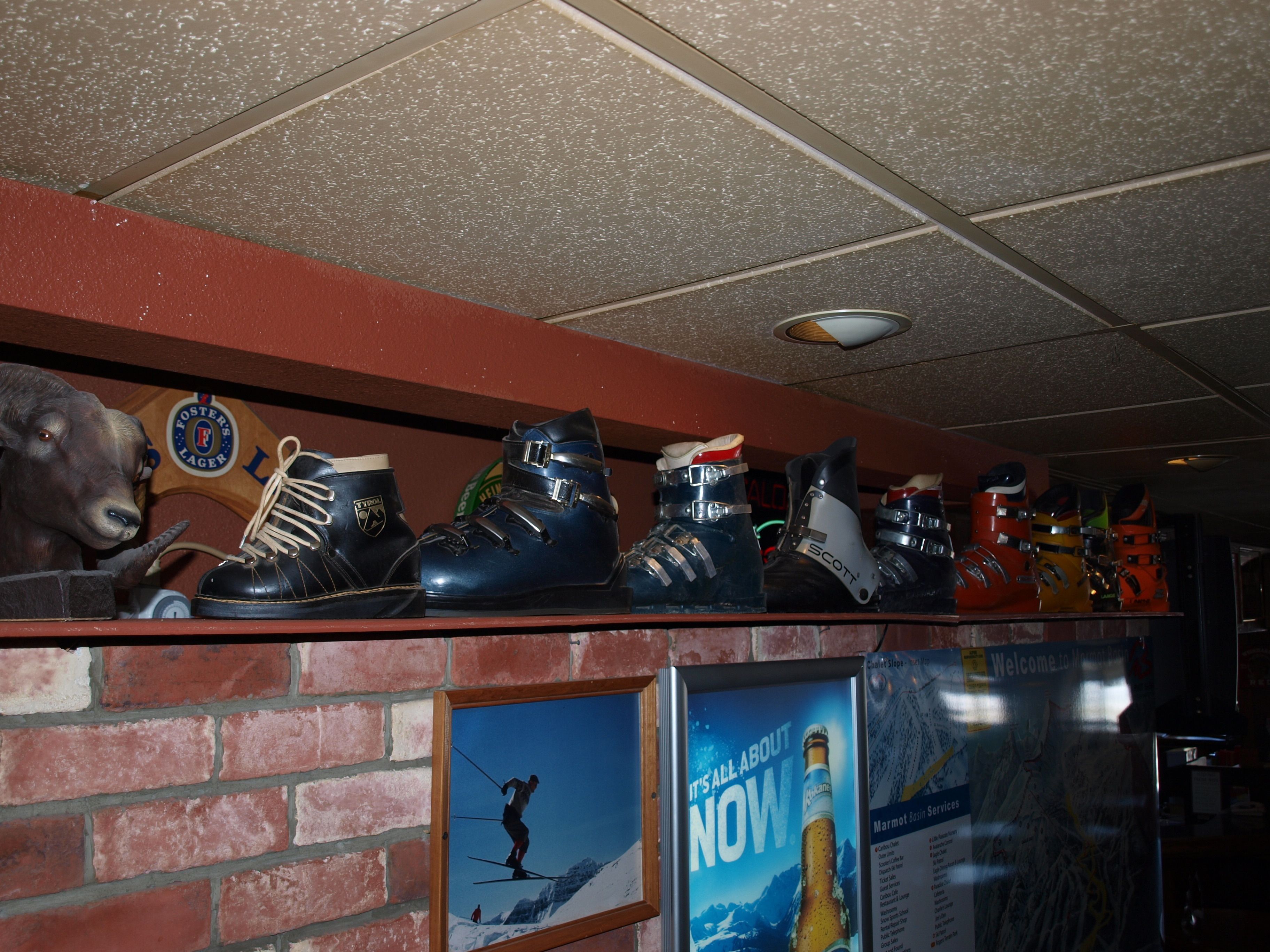 A wall with a variety of ski boots and a bear head decoration.