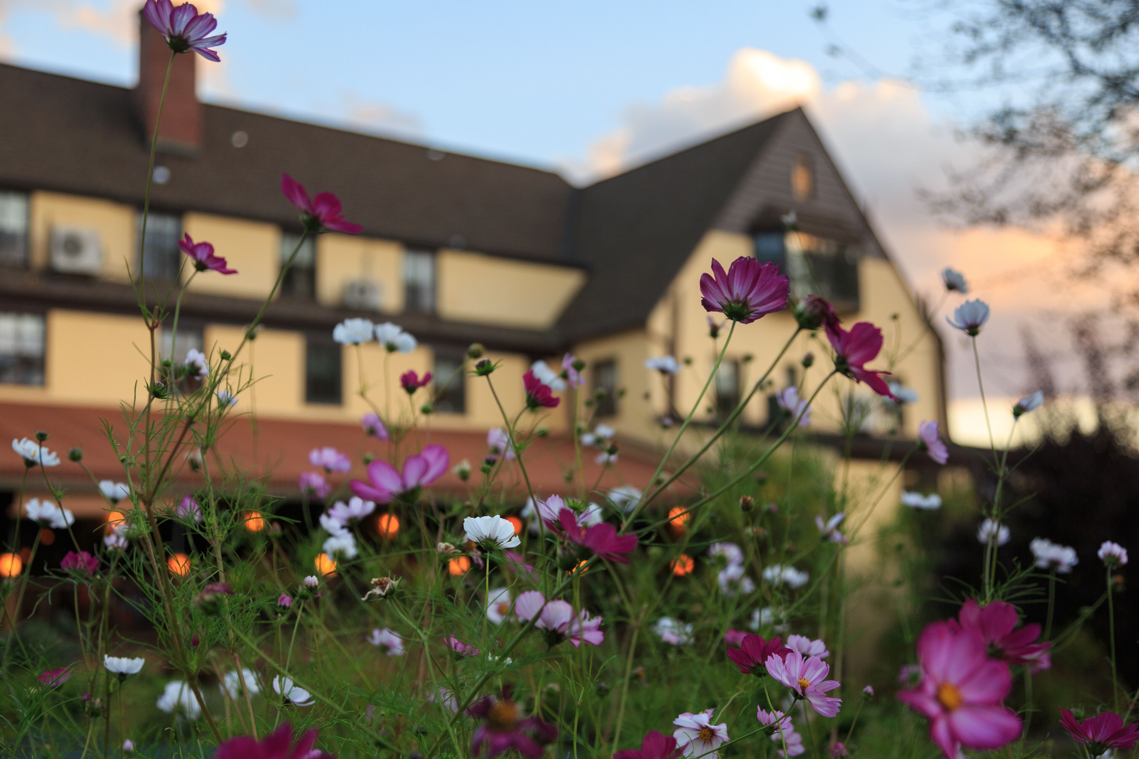 Una casa con techo inclinado y varias ventanas, rodeada de un jardín con diversas flores.