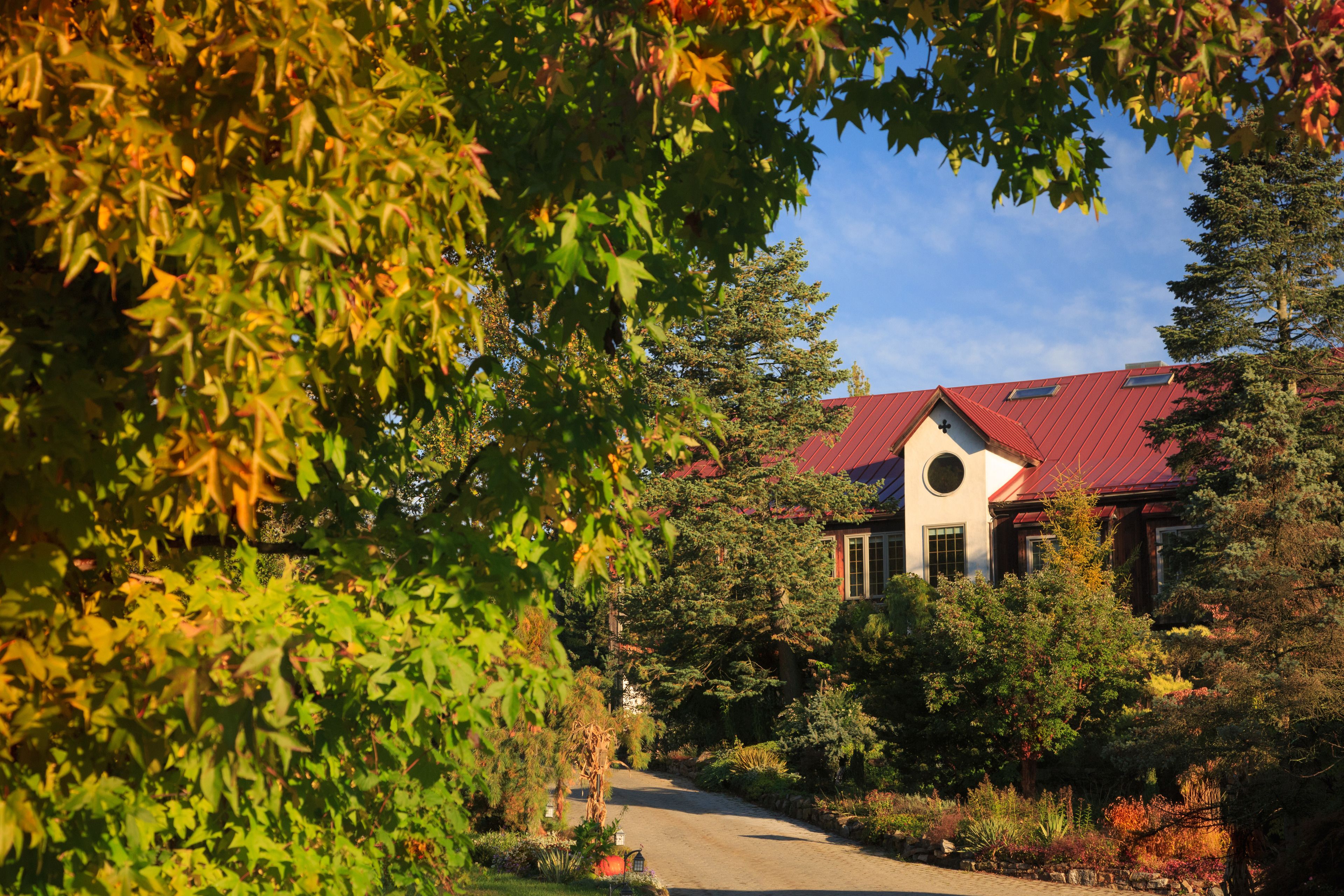 A house with a red roof, surrounded by trees and a garden.