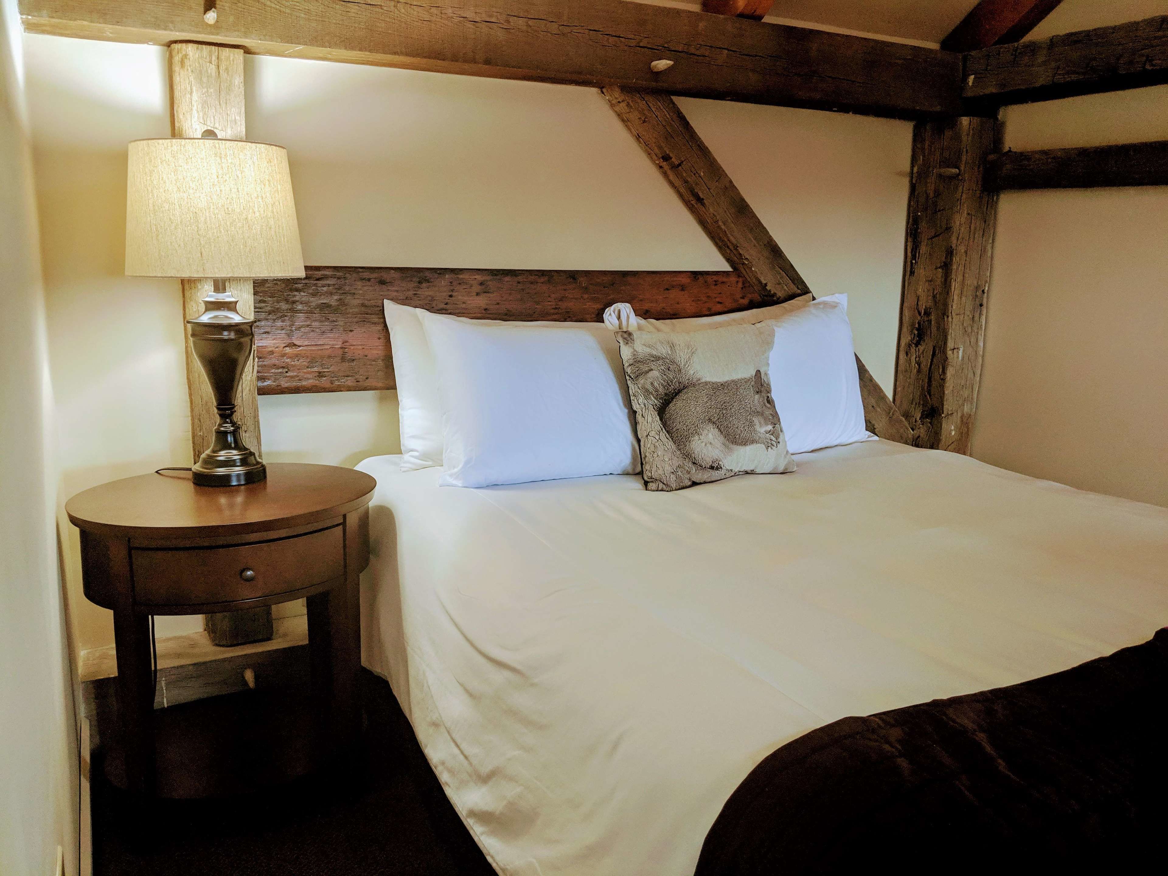 A bed with white bedding and a pillow with a squirrel design, a bedside lamp, and a wooden headboard.