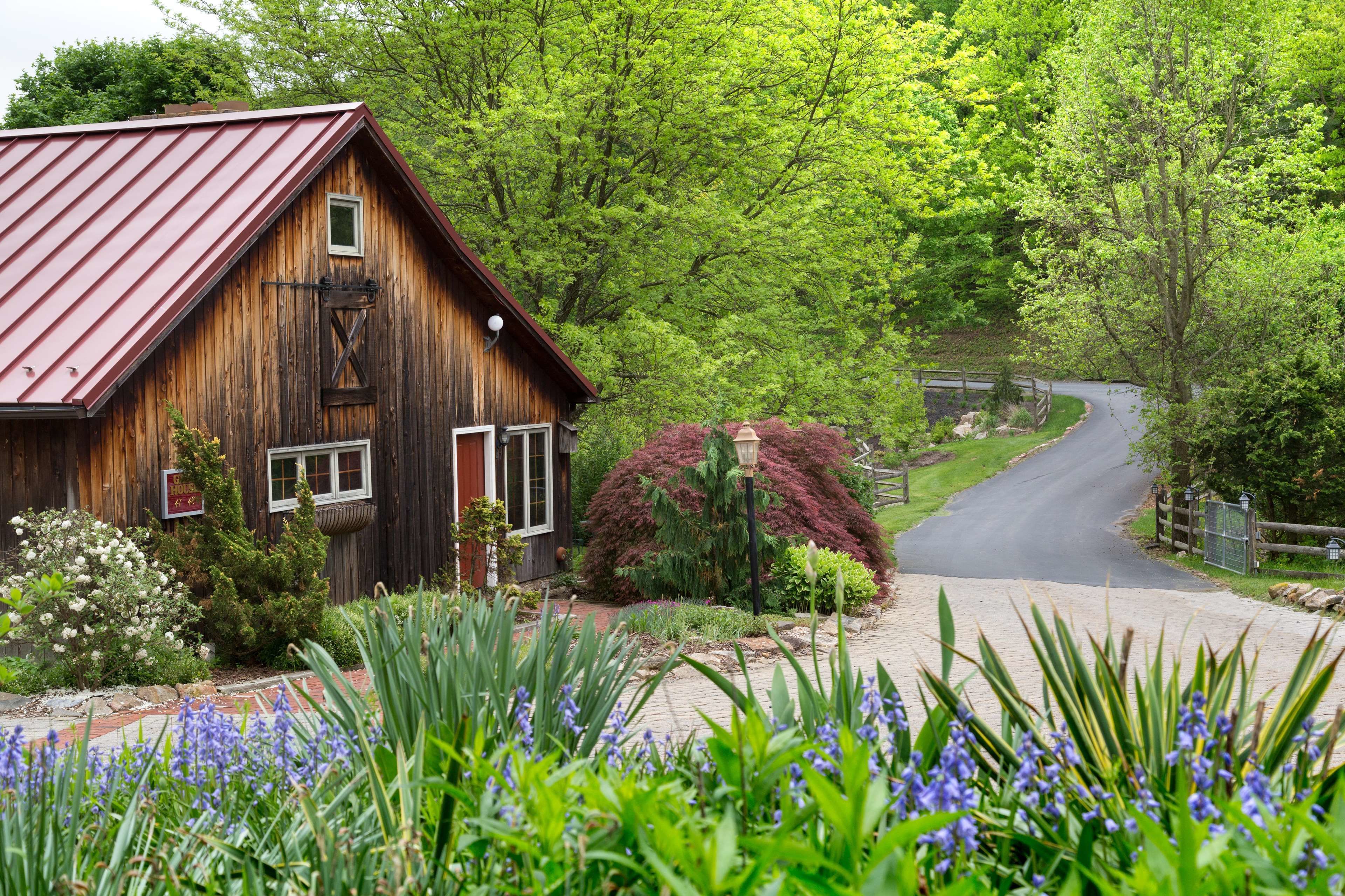 Une grange rustique en bois, avec un toit rouge, entourée d’une végétation luxuriante et bordée d’un chemin sinueux.