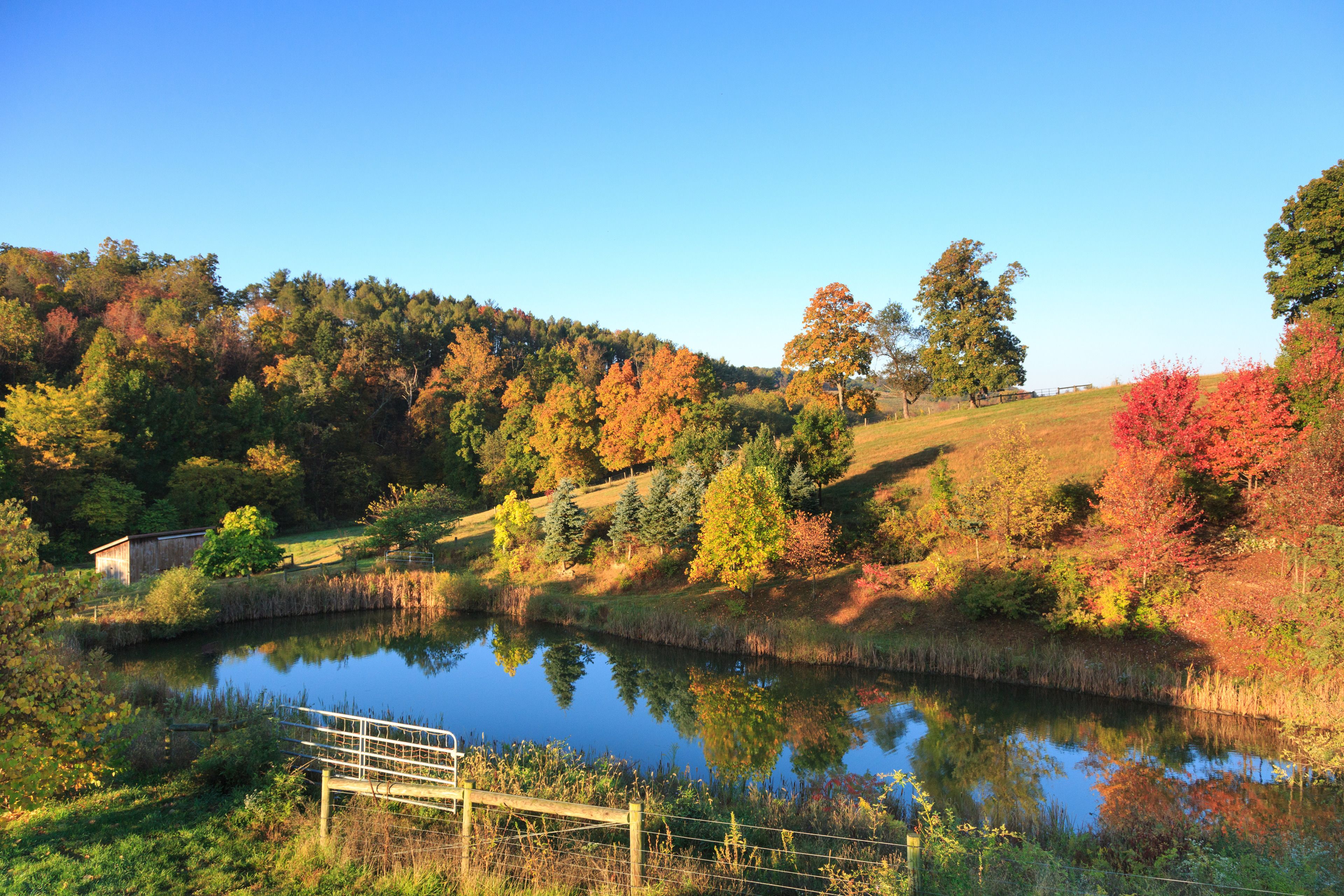 A serene lakeside scene with a wooden bridge, a small building, and a hill with autumn-colored trees.