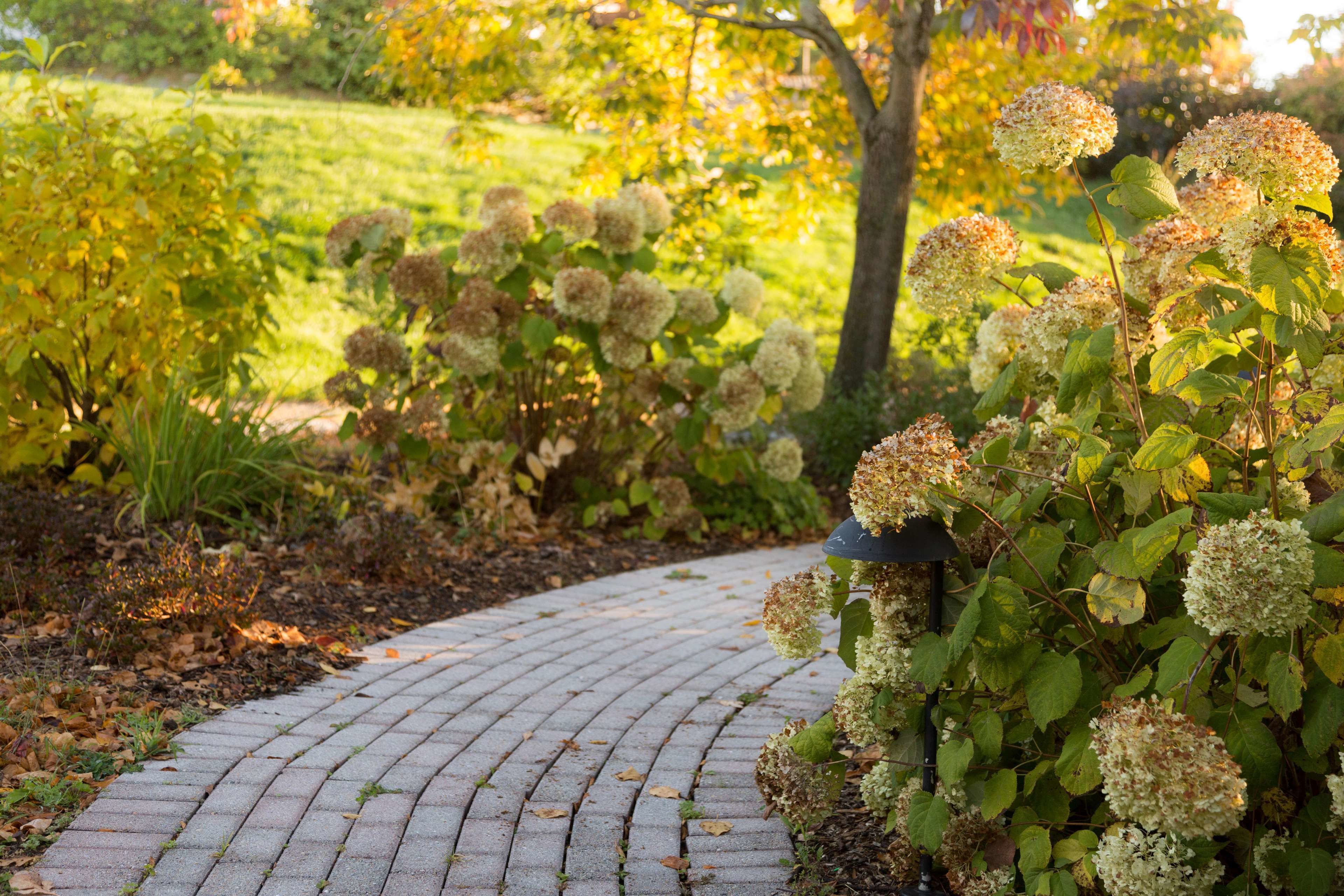 A paved garden path with flowering plants and trees in the background.