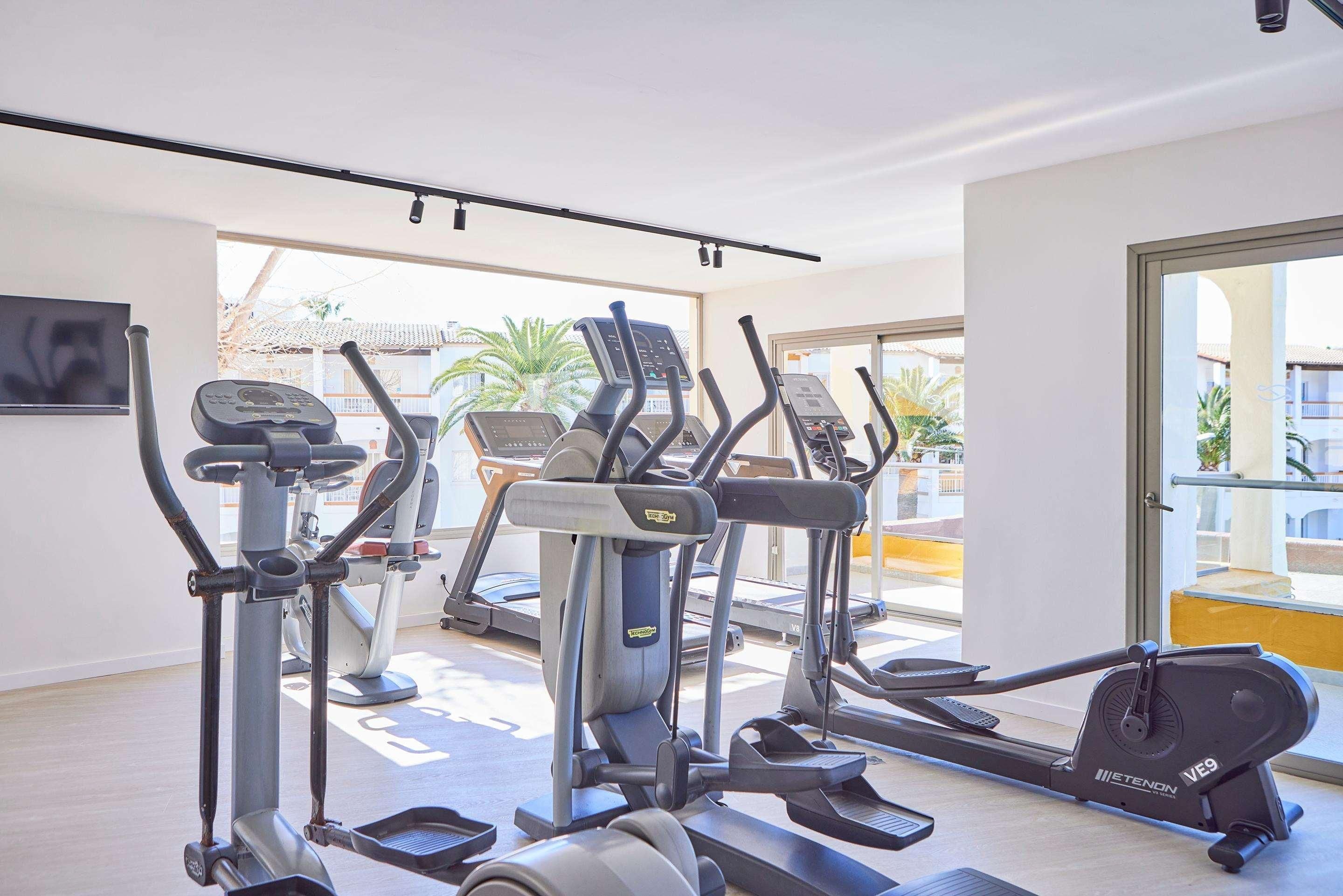 Un gimnasio con varias máquinas de ejercicio, un ventanal y vistas a palmeras.
