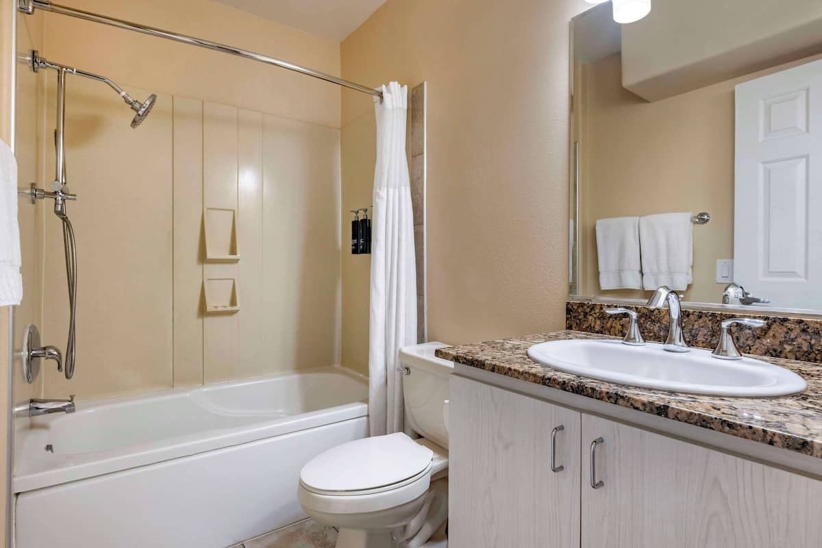 free toiletries, hair dryer, towels