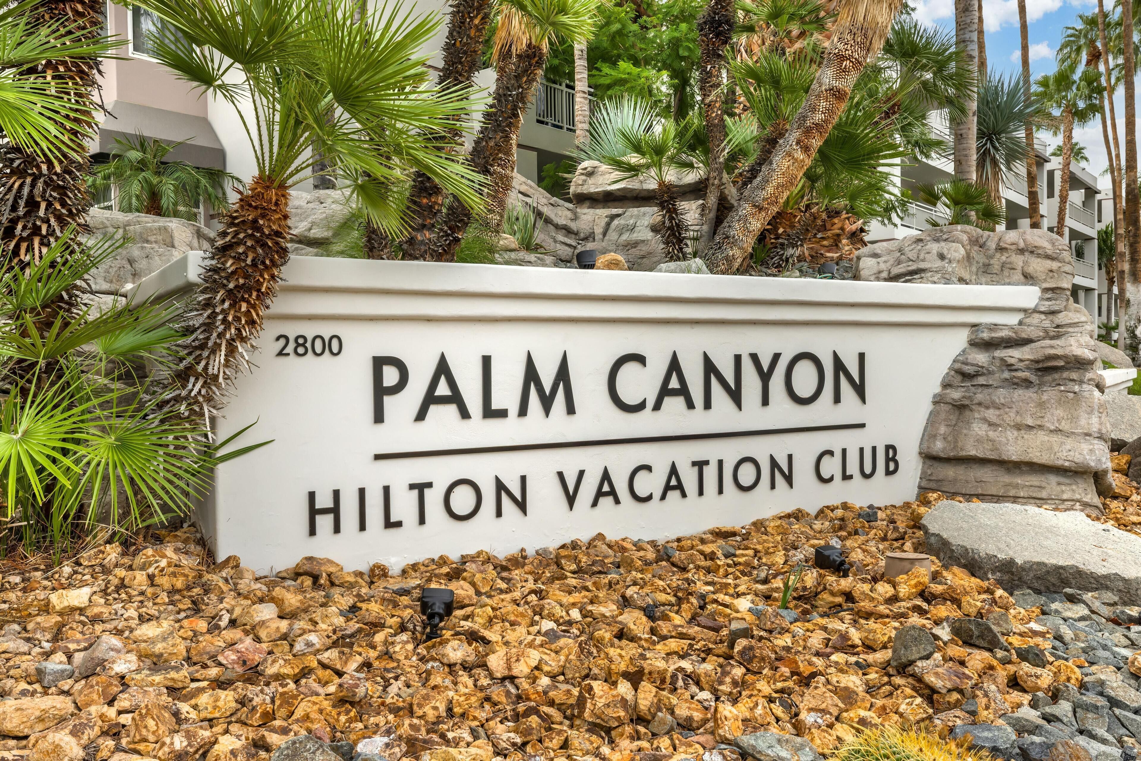 A sign for the Palm Canyon Hilton Vacation Club, surrounded by palm trees and rocks.