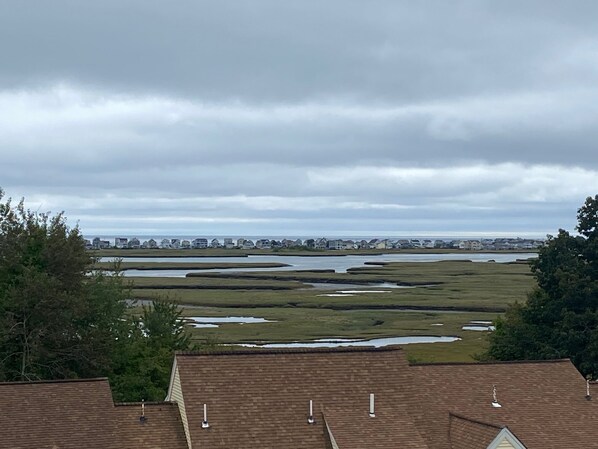 Zona residencial con casas, un paisaje pantanoso y una vista distante de un horizonte urbano bajo cielos nublados.