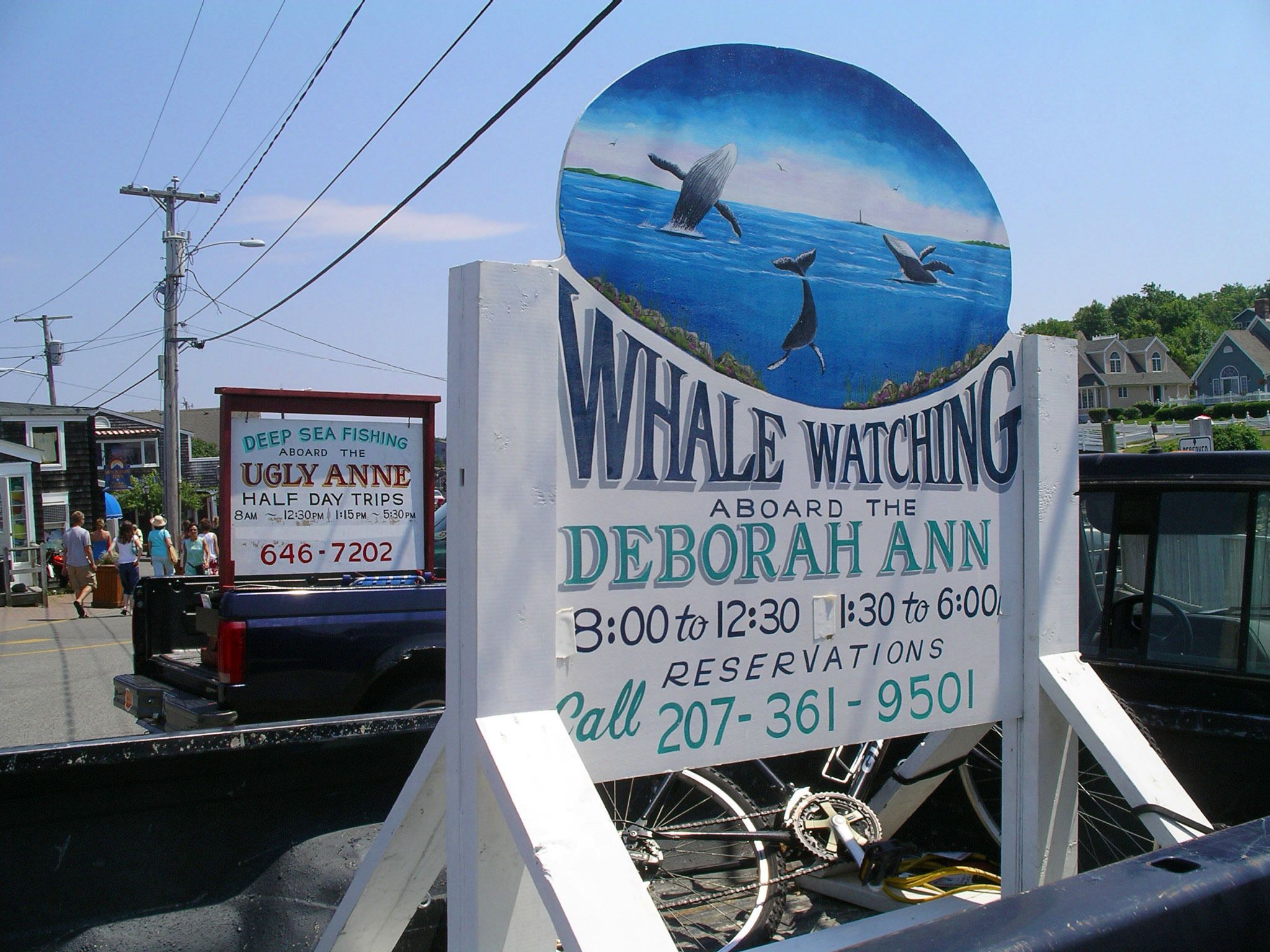 Señal de avistamiento de ballenas con un diseño circular que muestra ballenas y un bote.