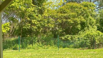 A fenced outdoor area with grass and trees.
