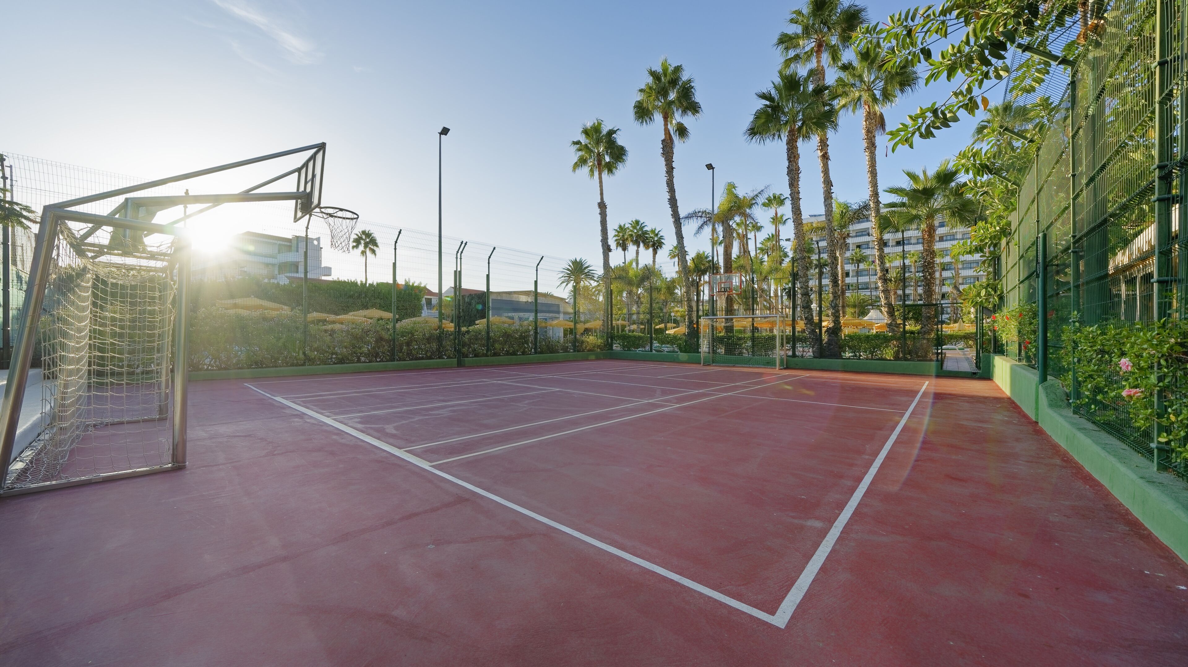 An outdoor tennis court with a goal post, surrounded by palm trees and a fence.