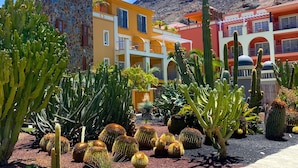 Un edificio colorido con un jardín de cactus al frente.