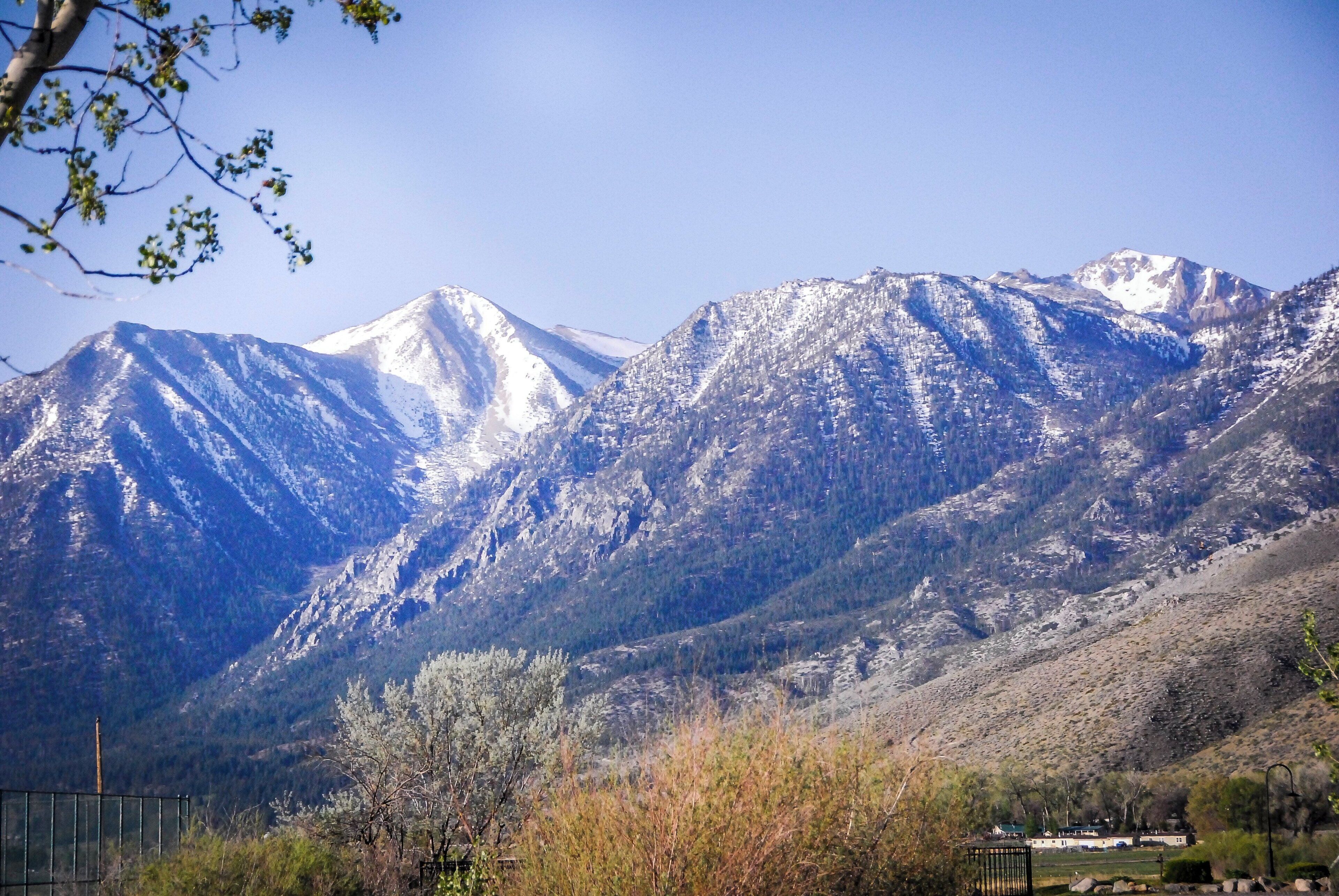 A mountainous landscape with snow-capped peaks and a foreground of trees and a fence.