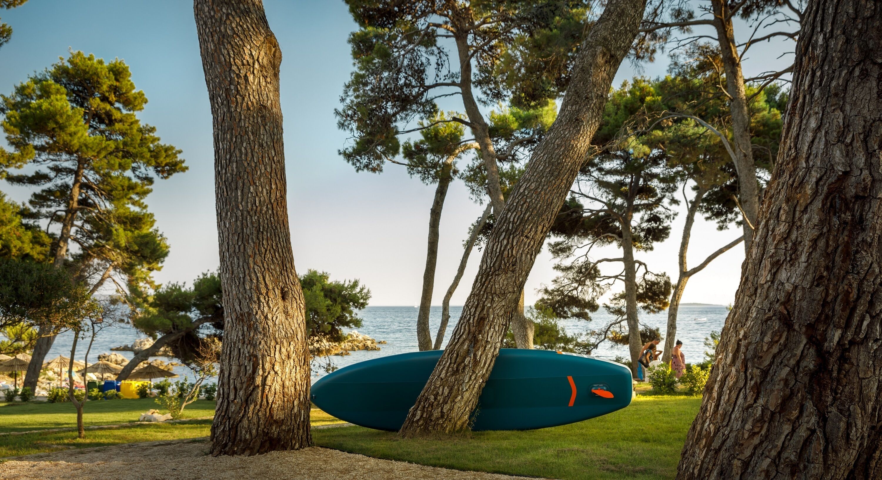 A surfboard leaning against trees by a beach.