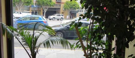 Una ventana con dos plantas en macetas, vista de una calle con coches aparcados y edificios.