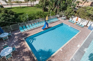 Outdoor pool, pool umbrellas, pool loungers