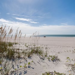 On the beach, white sand